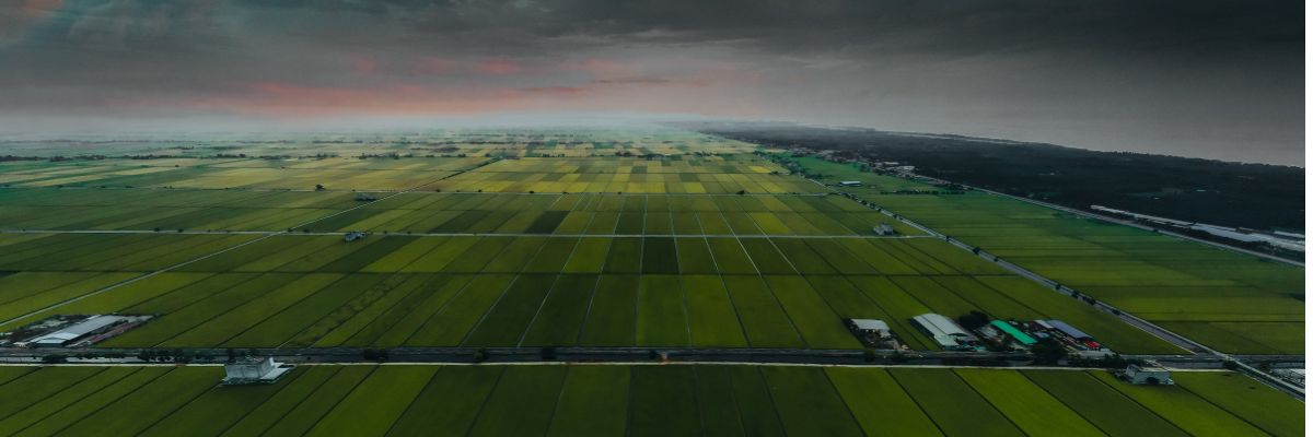 Mahindra Projects Chennai - Kharadi